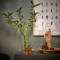 Bamboo tree for home decoration