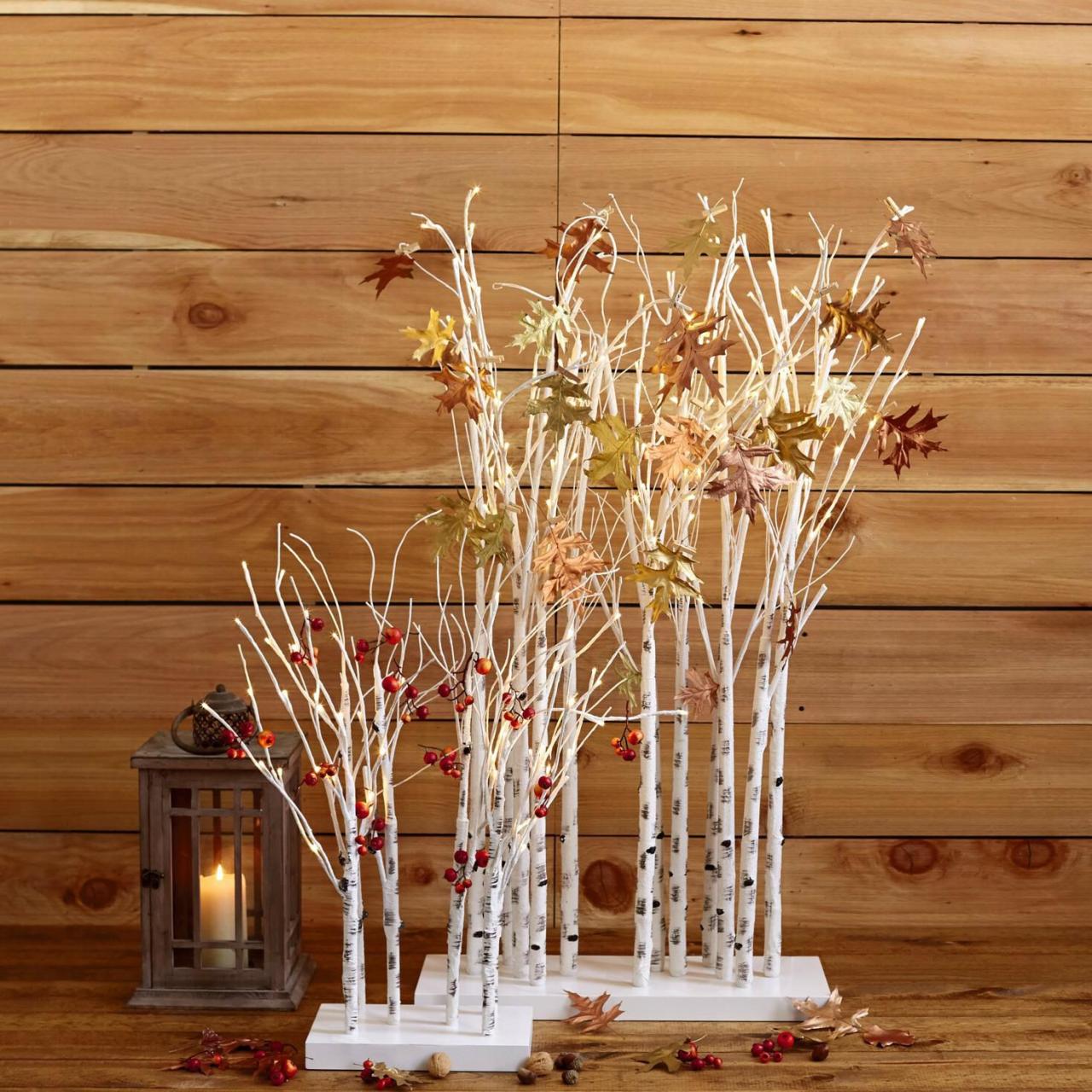 Birch winterberry decoraciones intentar noel planters buena decorar opciones weihnachten navidenas tree easyday stylowi using