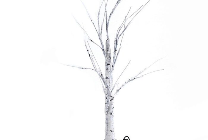 Birch tree branches for decoration