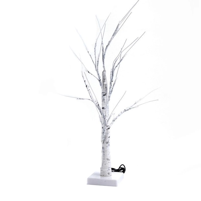 Birch tree branches for decoration