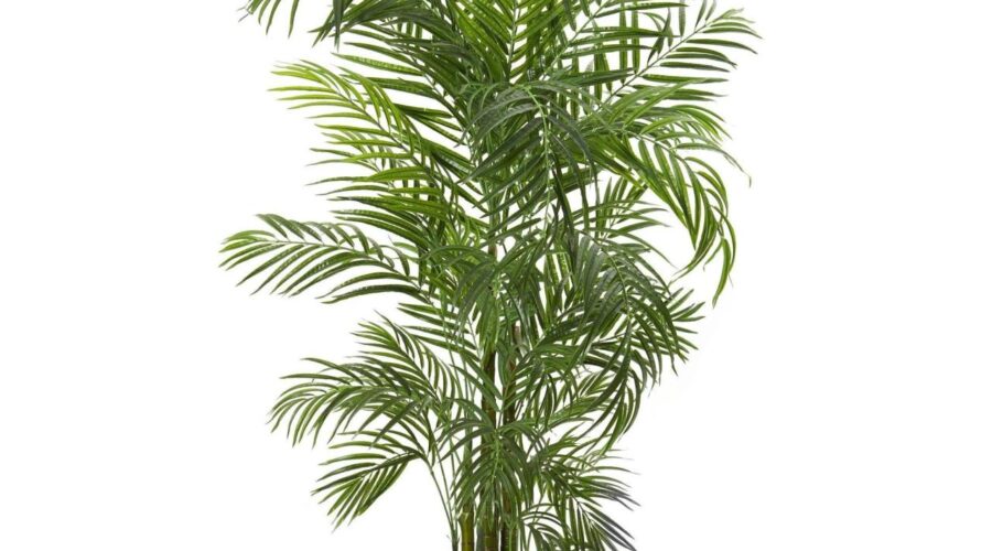 Piante fake artificiali plantes bark fruticosa arbre tall artificiel alberi