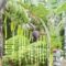 Banana tree wedding decoration